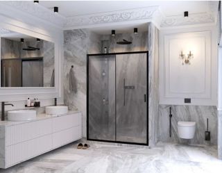 Душевая дверь Ambassador Forsa 17021218AB 120см чёрный/прозрачное